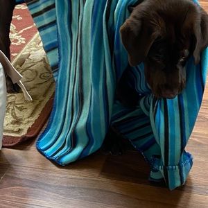 Meet your Posher, Kathy